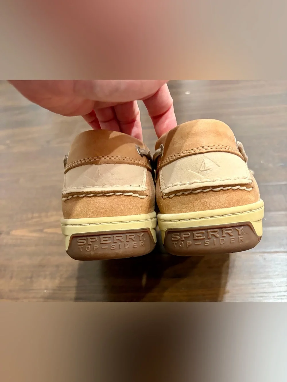 Sperry brand color